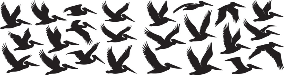 Variant style of Pelican silhouette vector set. Vector illustration and icon of Pelican bird 