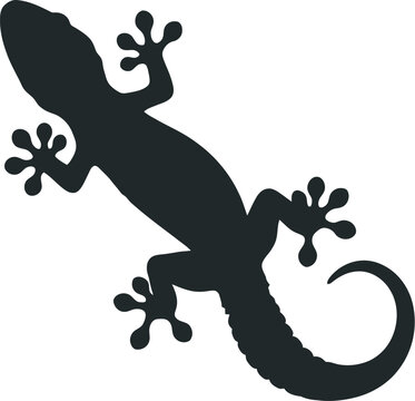 Find black gecko silhouette vector image download free gecko illustration art