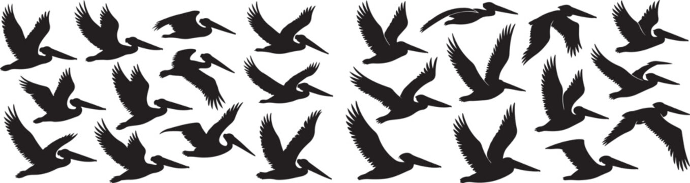 Variant style of Pelican silhouette vector set. Vector illustration and icon of Pelican bird 