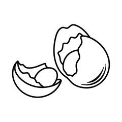 broken egg with yolk and shells