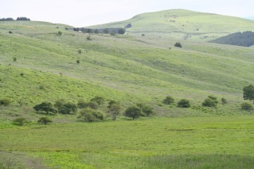夏空と緑が広がる車山高原／長野県