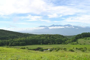 夏空と緑が広がる車山高原／長野県