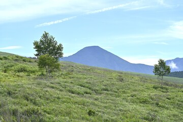夏空と緑が広がる車山高原／長野県