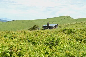 夏空と緑が広がる車山高原／長野県