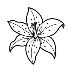 elegant spotted lily outline vector