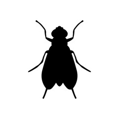 Insect house fly silhouette vector flat design on white background.
