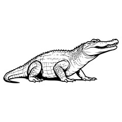 crocodile isolated on white. vector illustration. 