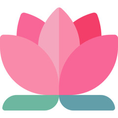 Sacred Lotus Flower