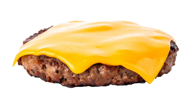 Hamburger patty with melting cheese slice Isolated on Transparent or White Background.