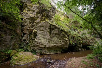 Židova Strouha Stream in South Bohemia, Czech Republic – Summer Landscape with Rocks, Lush...