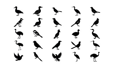 Obraz premium Birds Bundle_9 silhouette art Vector Illustration