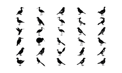 Obraz premium Birds Bundle_12 silhouette art Vector Illustration