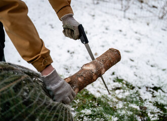 Person sawing Christmas tree trunk outdoors in snowy garden, winter holiday preparation
