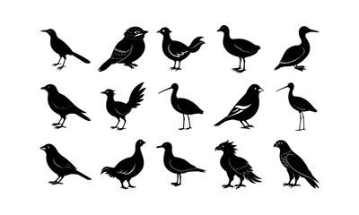 Obraz premium Birds Bundle_26 silhouette art Vector Illustration