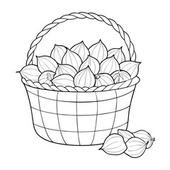 Basket Filled with Garlic Illustration