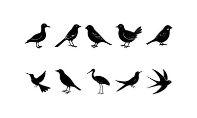Obraz premium Birds Bundle_32 silhouette art Vector Illustration