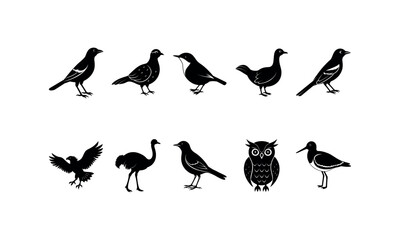 Obraz premium Birds Bundle_35 silhouette art Vector Illustration