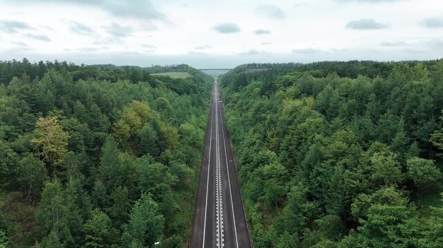 일본 숲속을 관통하는 끝없는 고속도로의 드론 항공뷰
(Endless highway passing through dense forest in Japan, aerial drone view)