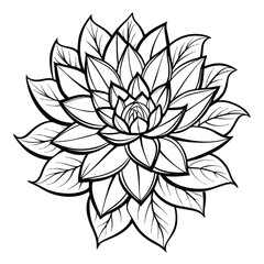 xeranthemum line art vector on-white-background
