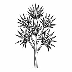  yucca line art vector on white-background 