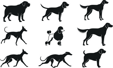 Cad drawing flat vector illustration, nine dog breed silhouettes, mastiff beagle retriever greyhound poodle bulldog icons, minimal pet artwork graphic
