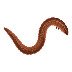 Illustration of a Brown Compost Worm