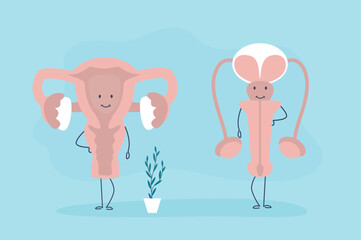 Reproductive system. Anatomy characters with faces. Human male and female organs - vagina and penis, biology infographic template. Human organs funny mascots