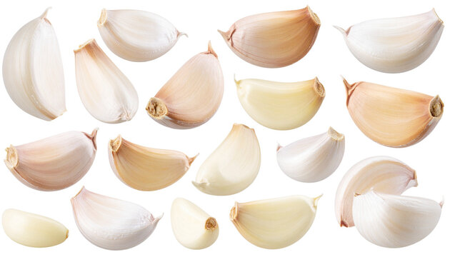 Collection of fresh garlic cloves, arranged and isolated on a flat, neutral background. Ideal for culinary designs, recipe illustrations