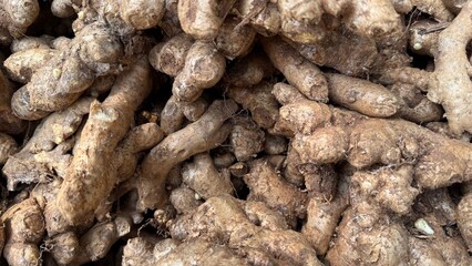 Brown ginger root piles present a textured background with various root shapes clearly visible