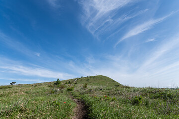  爽やかな朝の高原　霧ヶ峰