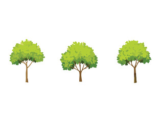 Obraz premium Small Green Trees Natural Landscape Element