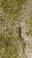 Cracked stone texture reveals moss and small debris, creating a weathered appearance