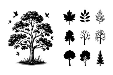 Obraz premium Vector silhouette tree collection: a diverse set of outlined illustrations including pine, oak, palm, and birch designs, perfect for nature-themed art and forest patterns