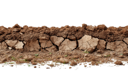 Cracked Earth: An arid panorama with detailed, textured cracks and crevices, a striking illustration of drought and land degradation.