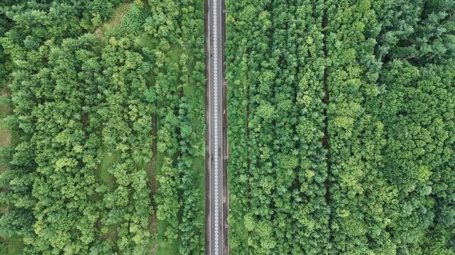 일본의 울창한 숲속 도로 위를 달리는 차량의 드론 수직 항공뷰
(Top-down aerial drone view of a car driving on a road through dense Japanese forest)