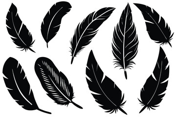 Fototapeta premium Collection of black feather silhouettes on white background
