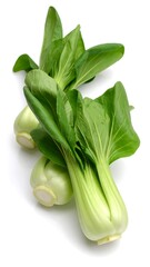 Obraz premium Fresh Bok Choy (3)