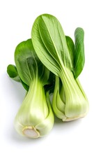 Fresh bok choy
