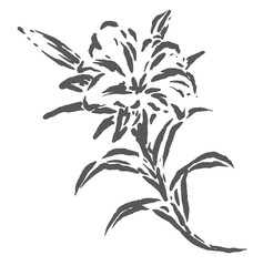 Illustration of a beautiful abstract style silhouette sketch of a blooming flower