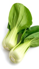Fresh bok choy on white background