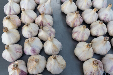 Harvested garlic bulbs ready for storage or cooking kitchen ingredients pattern and natural farming...