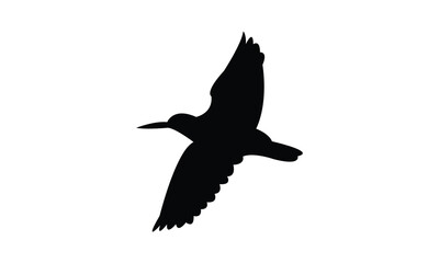 Flying American oystercatcher bird Silhouette Design  And Vector Illustration. 