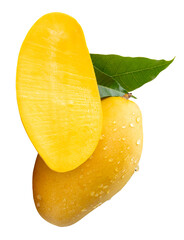 Single ripe yellow mango fruit and half with green leaves and water droplets in stack isolated on white background with clipping path