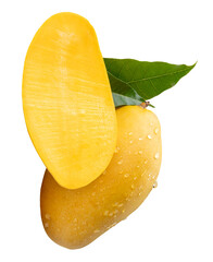 Single ripe yellow mango fruit and half with green leaves and water droplets in stack isolated with clipping path in png file format