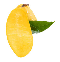 Single ripe yellow mango fruit and half with green leaves and water droplets in stack isolated on white background with clipping path