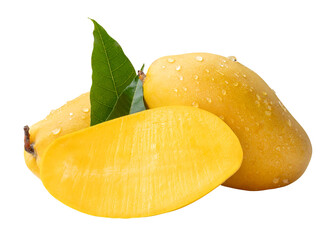 Two ripe yellow mango fruits and a half with green leaves and water droplets in stack isolated with clipping path in png file format