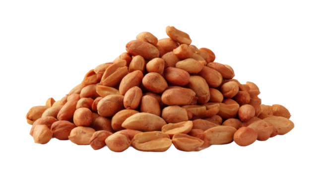 Peanut harvesting process farm food view nutrition benefits isolated on transparent background, png