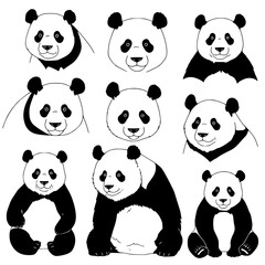 Fototapeta premium Adorable panda illustrations, cute poses, playful designs