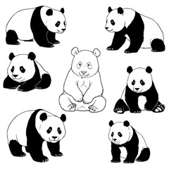 Obraz premium Adorable pandas in various poses, perfect for cute designs