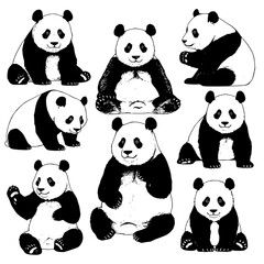 Fototapeta premium Adorable pandas in various cute sitting poses